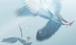 Ранняя пташка!!   - 